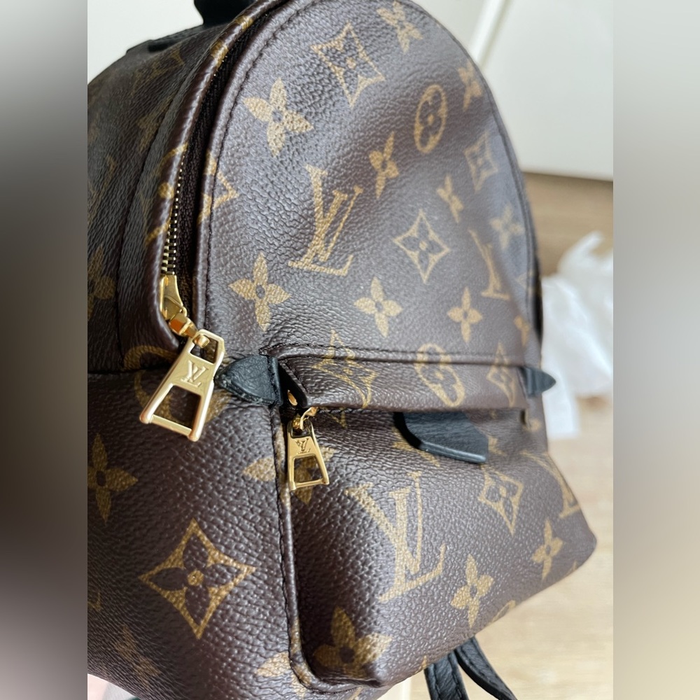 Louis Vuitton Palm Springs Mini Backpack in Monogram M41562 - Picture 9 of 13